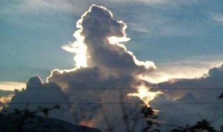 天涯论坛小月月 天涯论坛小月月