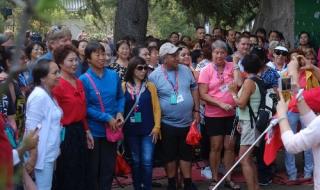 西安旅游团 西安旅游团